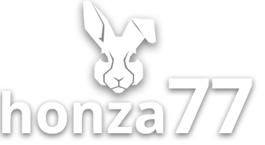 logo honza77 Jan Simek